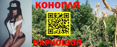 PSILOCYBIN Волжский